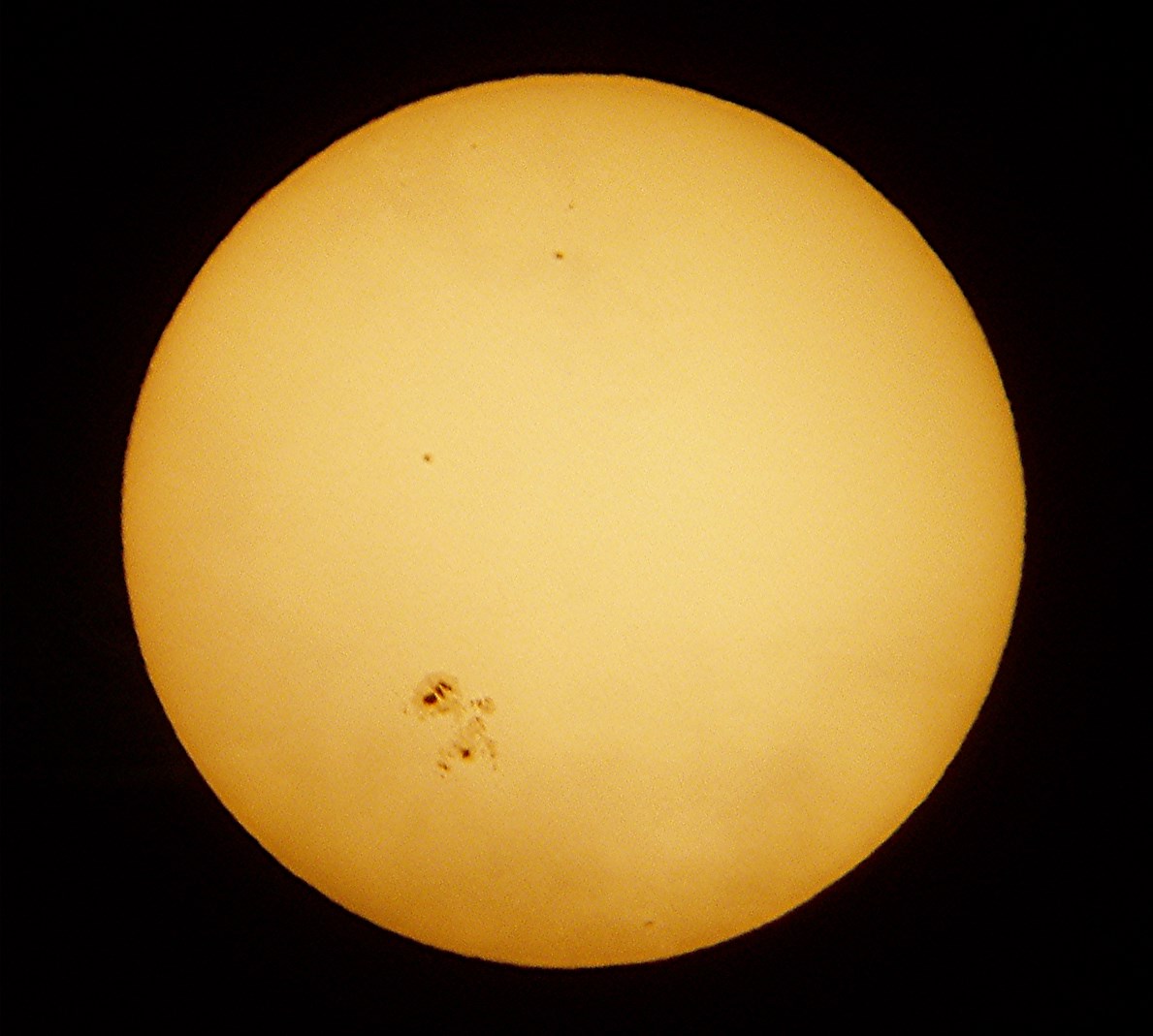 Sunspot Group AR 12192 of October 25, 2014. It was the largest sunspot in 24 years. Olympus Digital Camera. Photo Credit Dan Pedan